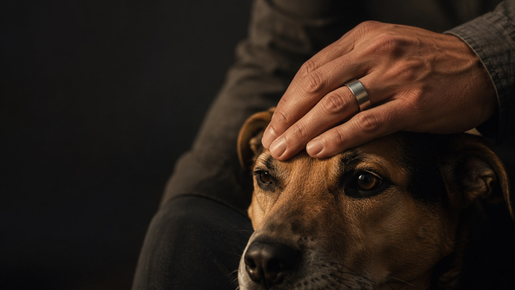 A hand wearing a Just Mens Rings band resting on a rescue dog's head